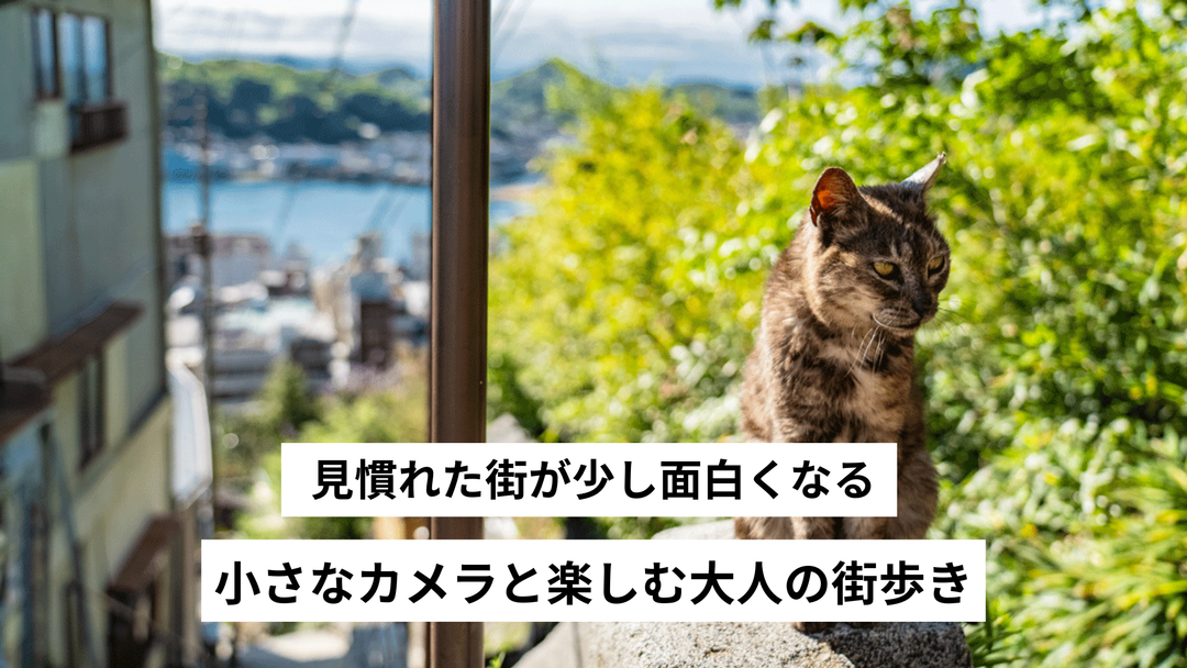 見慣れた街が少し面白くなる。小さなカメラと楽しむ大人の街歩き